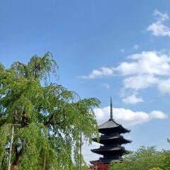 東寺　４月　アイキャッチ